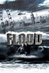 Download Film Flood (2007)